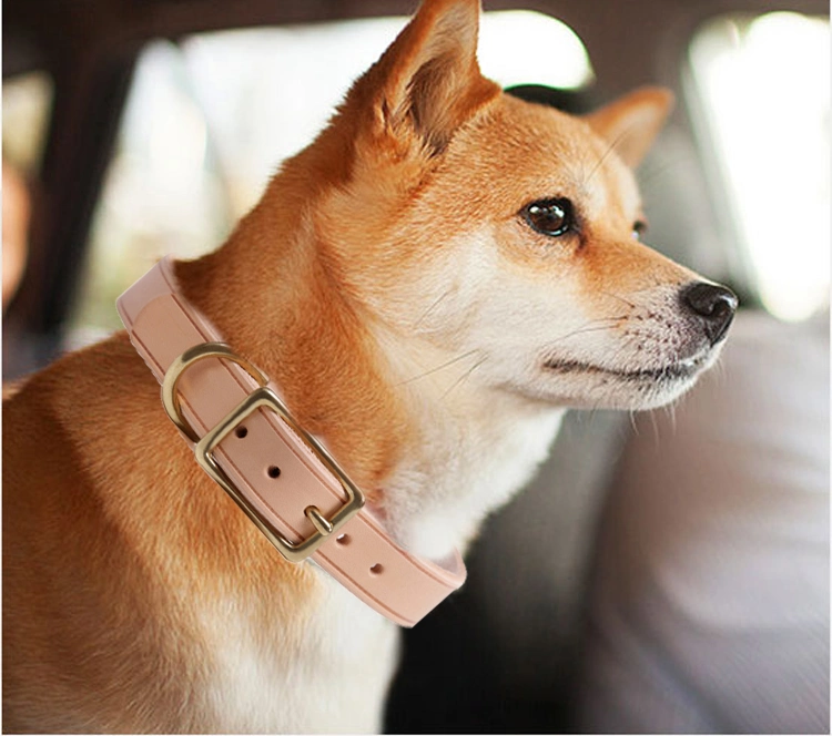 Hanyang Eom Custom Wholesale Leather Dog Collar Dog Leash Pet Products